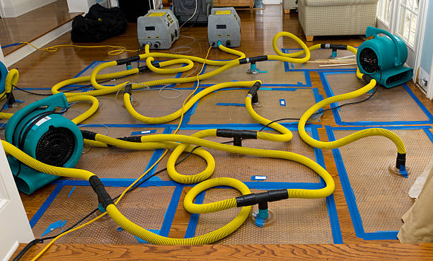 Professional Basement Flood Cleanup technician working in Tenafly, NJ